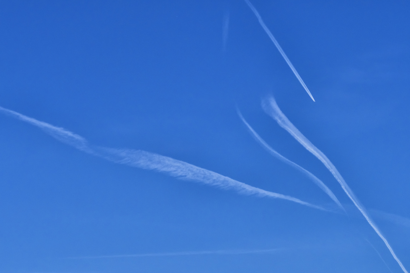 Scie