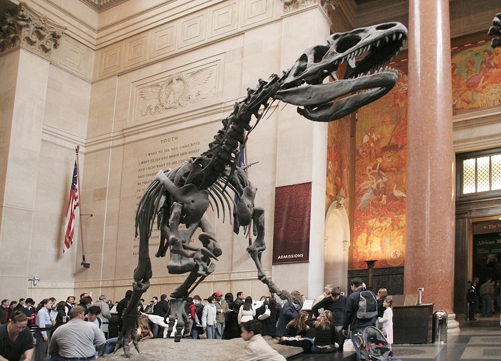 sciencemuseum ny Foto & Bild youonlylivetwice Bilder auf