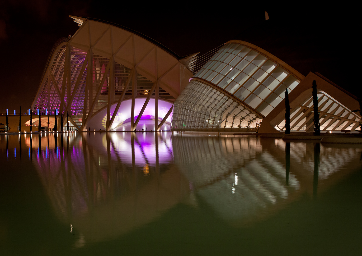 Science Museum Valencia Spain