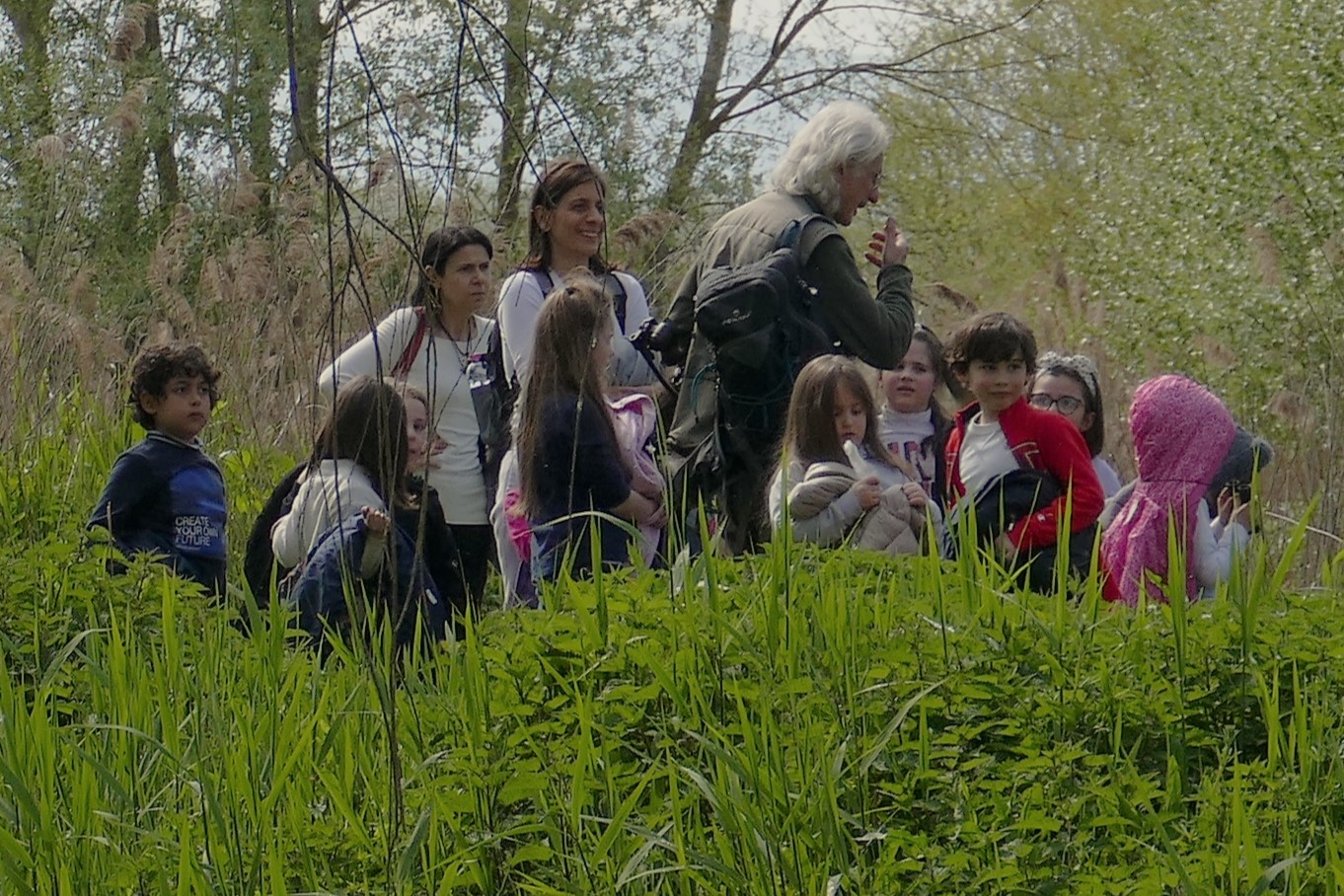 sciences naturelles in situ