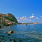 Scilla