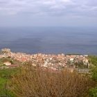 Scilla -