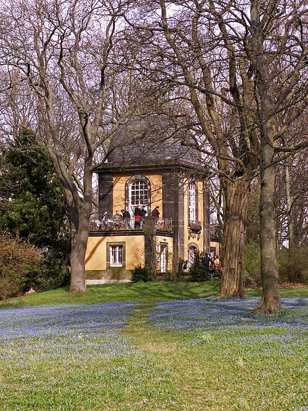 Scilla-Blüten am Lindener Berg von Jens Schade