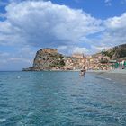 SCILLA DSC_0492