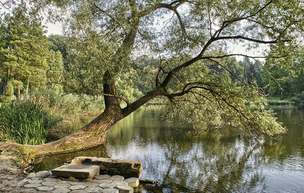 Sckloss Krasiczyn - Im Park