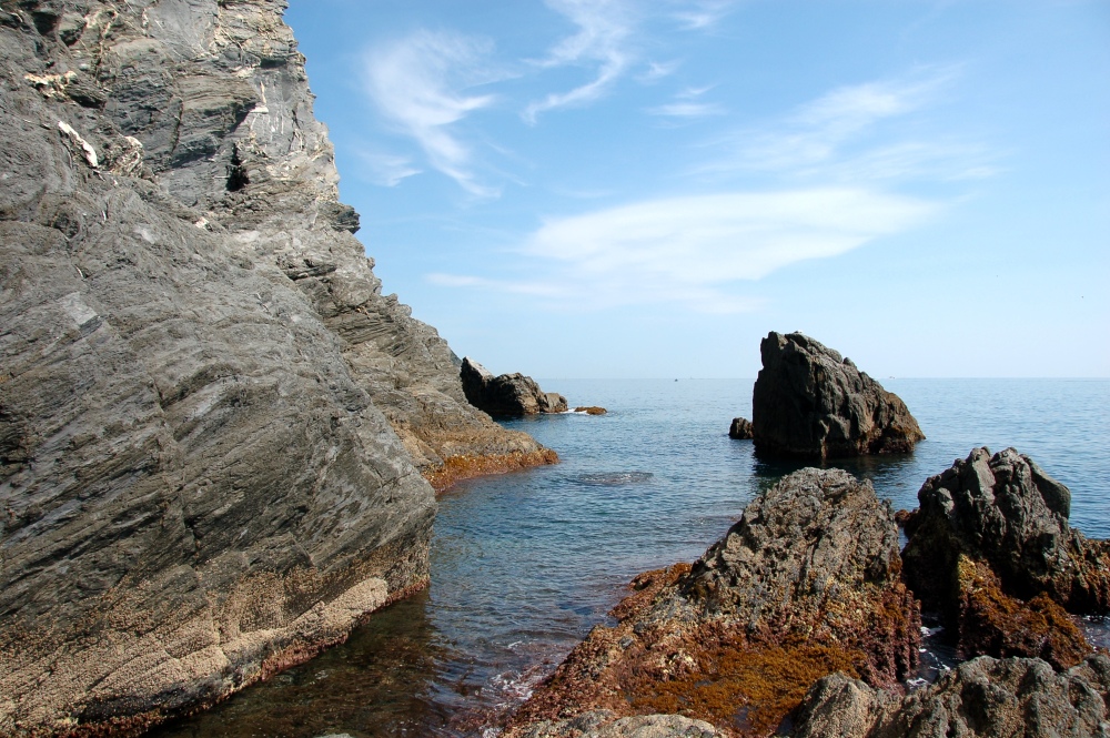 Scogli a Manarola