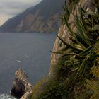 scogliera nelle cinqueterre