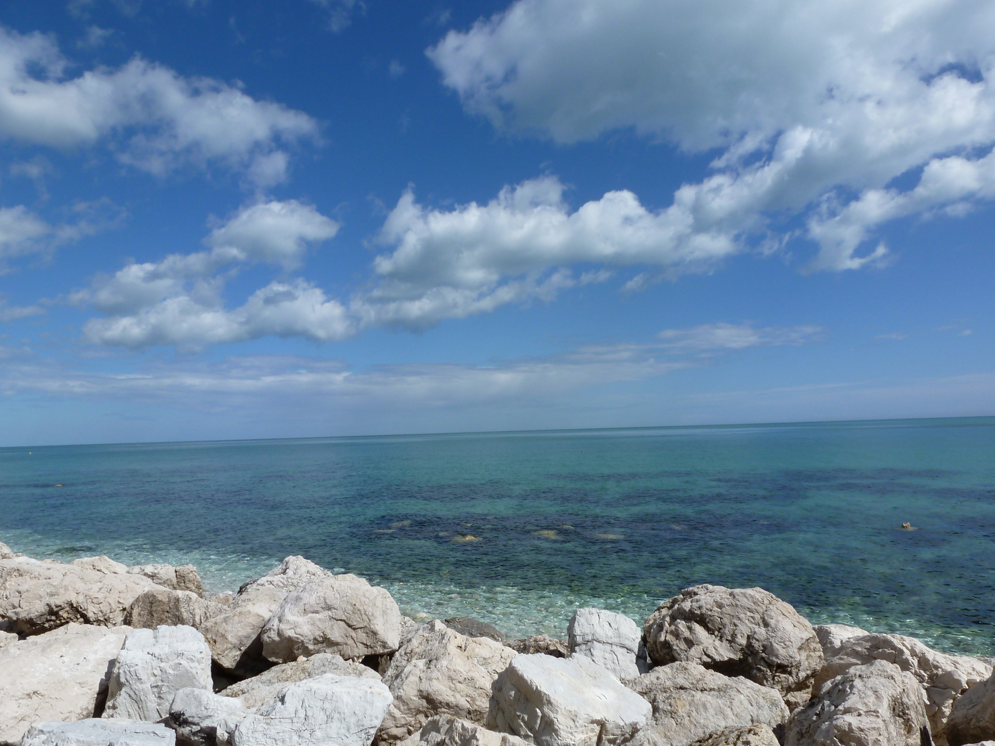 scogliera " RIVIERA DEL CONERO " PRESSO ANCONA