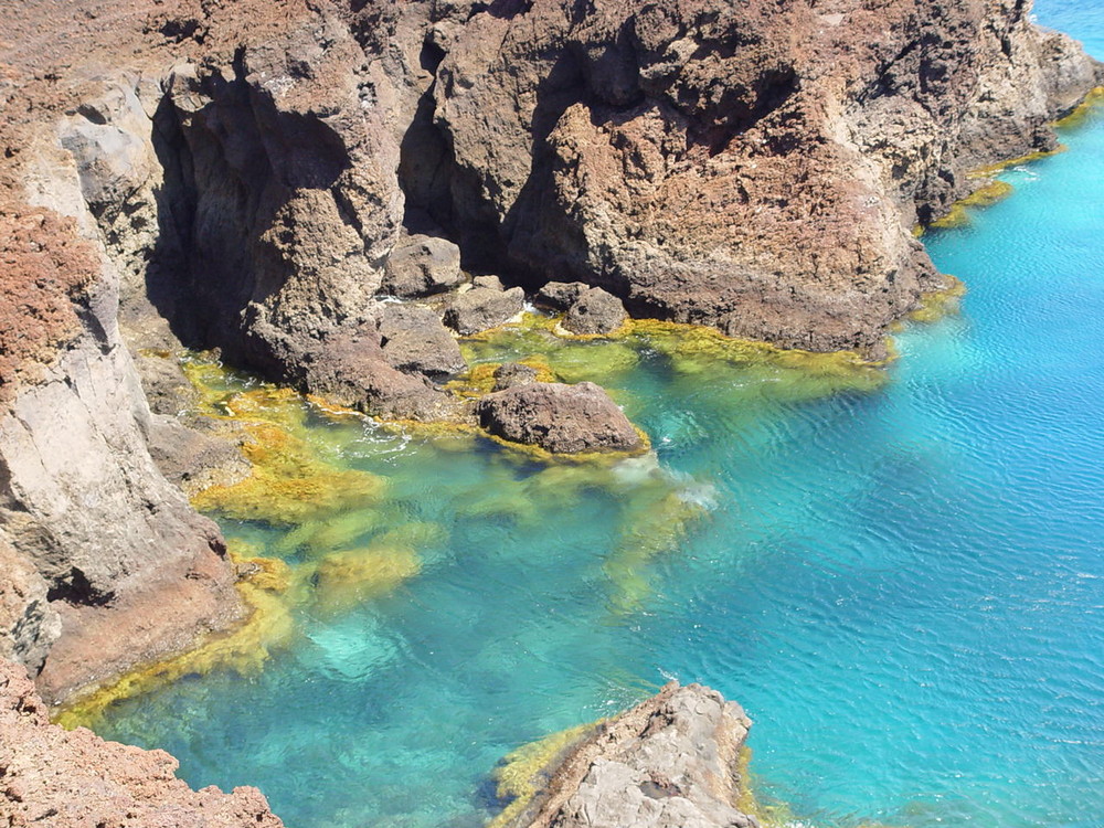 SCOGLIERA VULCANICA - TENERIFE