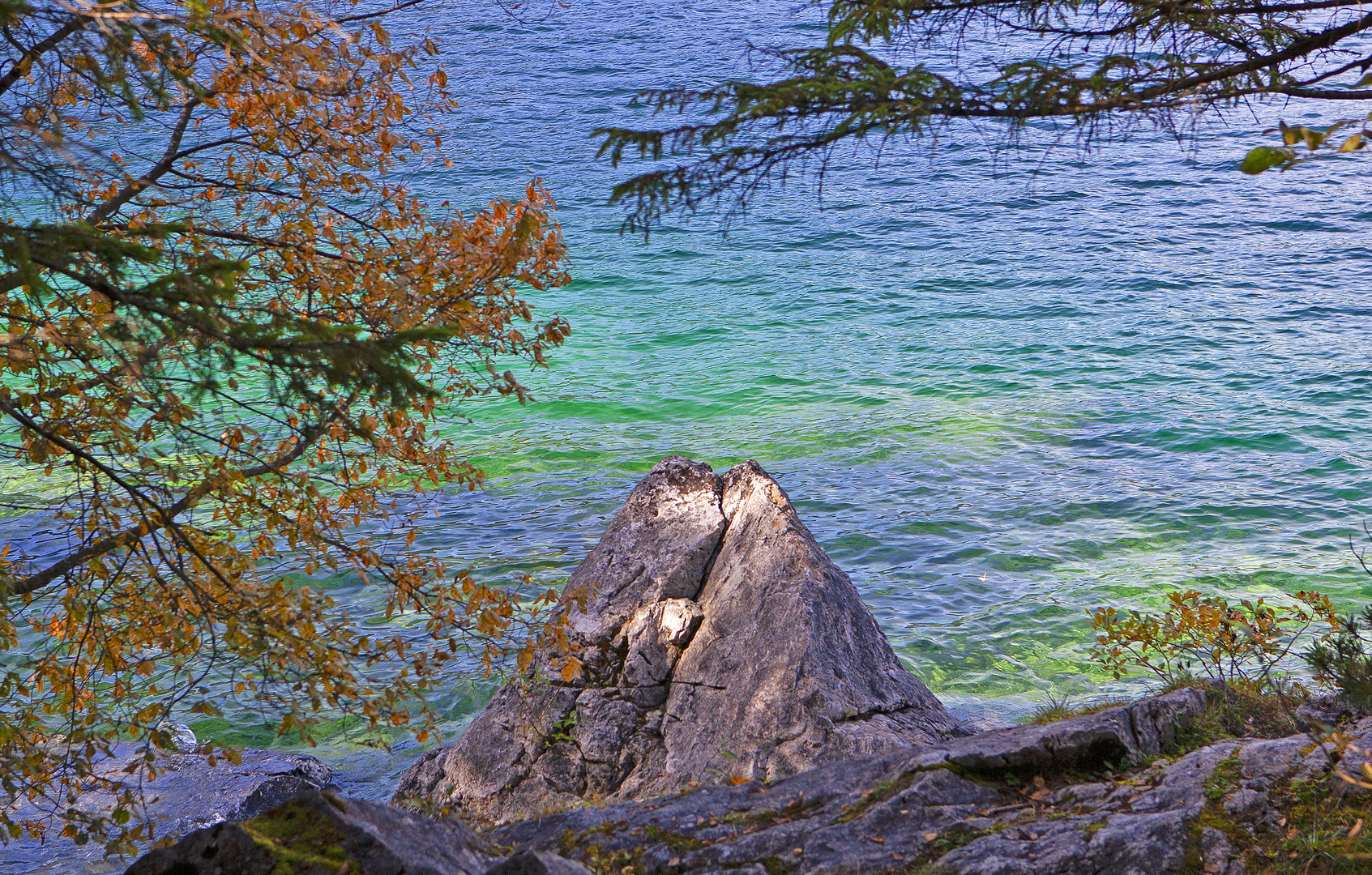 Scoglio sulla riva