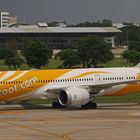 SCOOT AIRLINE
