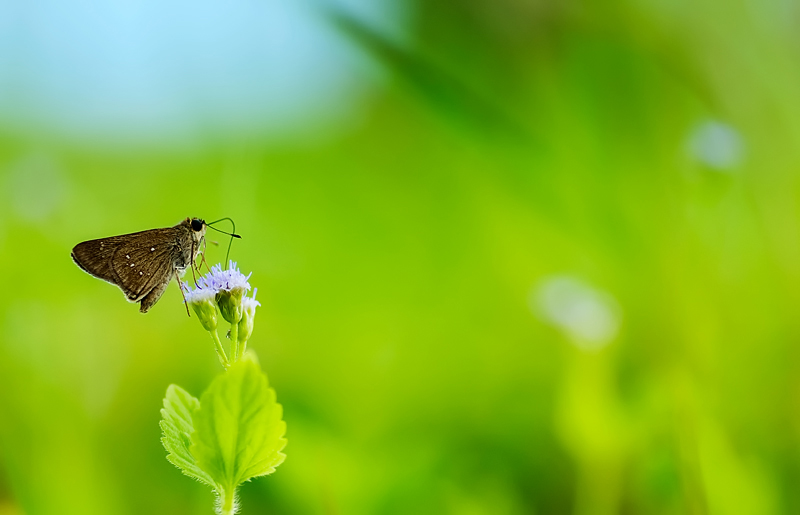 Scopriamo la Natura = 8