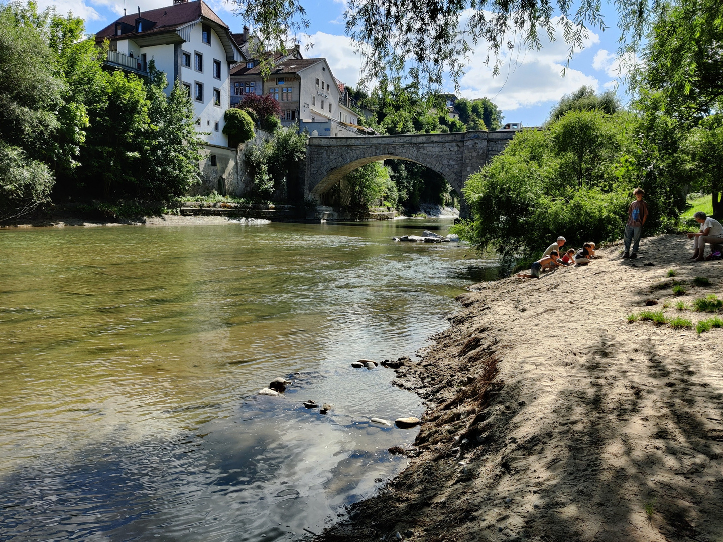 Scorci del fiume Sarina a Friburgo 