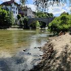 Scorci del fiume Sarina a Friburgo 