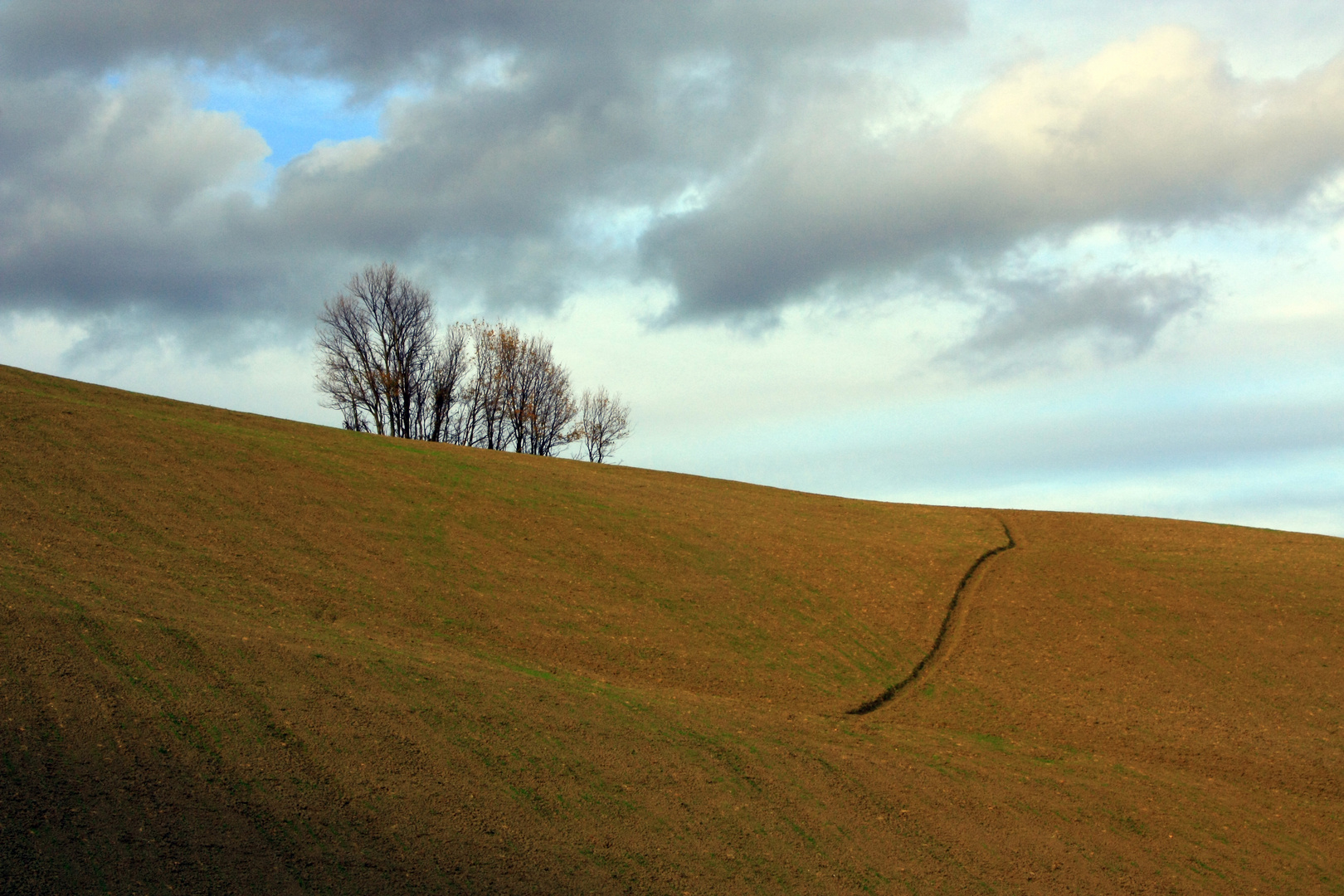 "Scorci sulle colline"