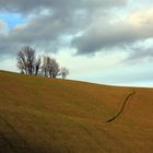 "Scorci sulle colline"