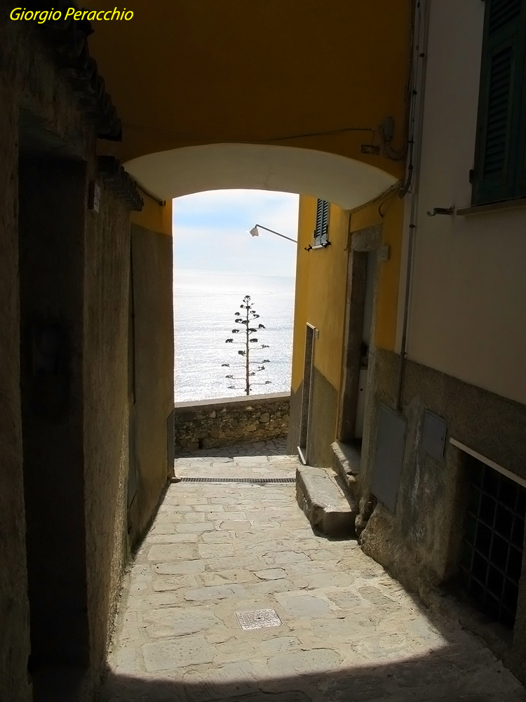 Scorcio a Corniglia