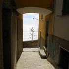 Scorcio a Corniglia