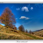 Scorcio autunnale