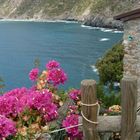 scorcio da manarola