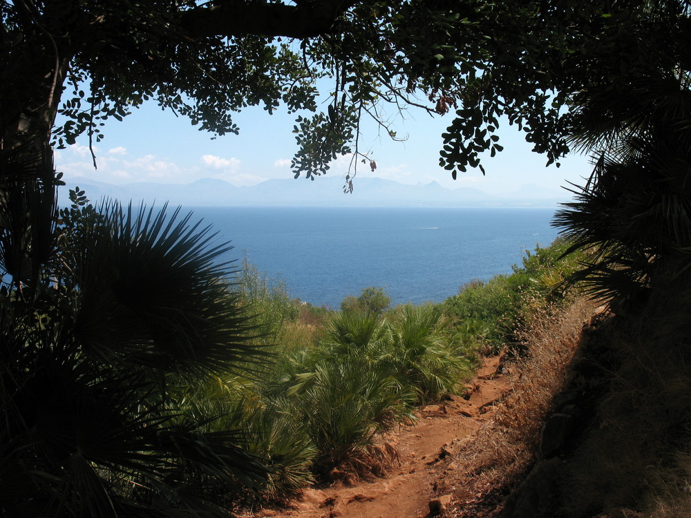 Scorcio dalla riserva naturale dello zingaro (TP)