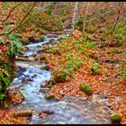 scorcio d"autunno