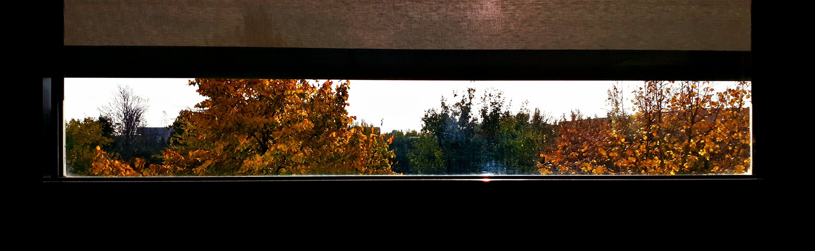 Scorcio d'autunno dalla finestra dell'ufficio
