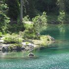 Scorcio del Lago di Carezza, Bolzano, Italy