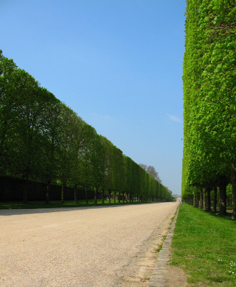 Scorcio del viale