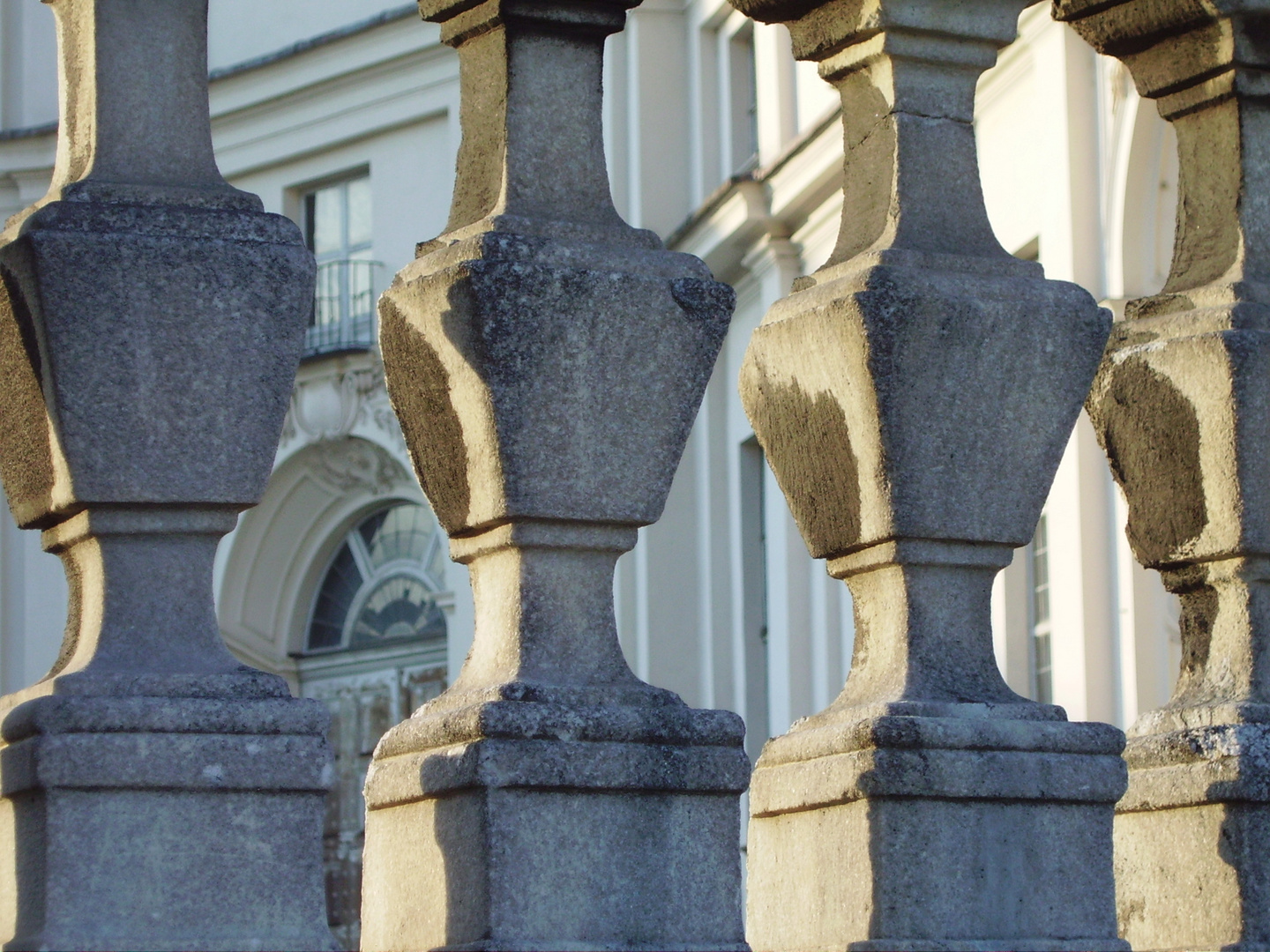 scorcio della palazzina di caccia di Stupinigi