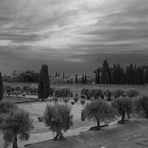 Scorcio della villa Adriana