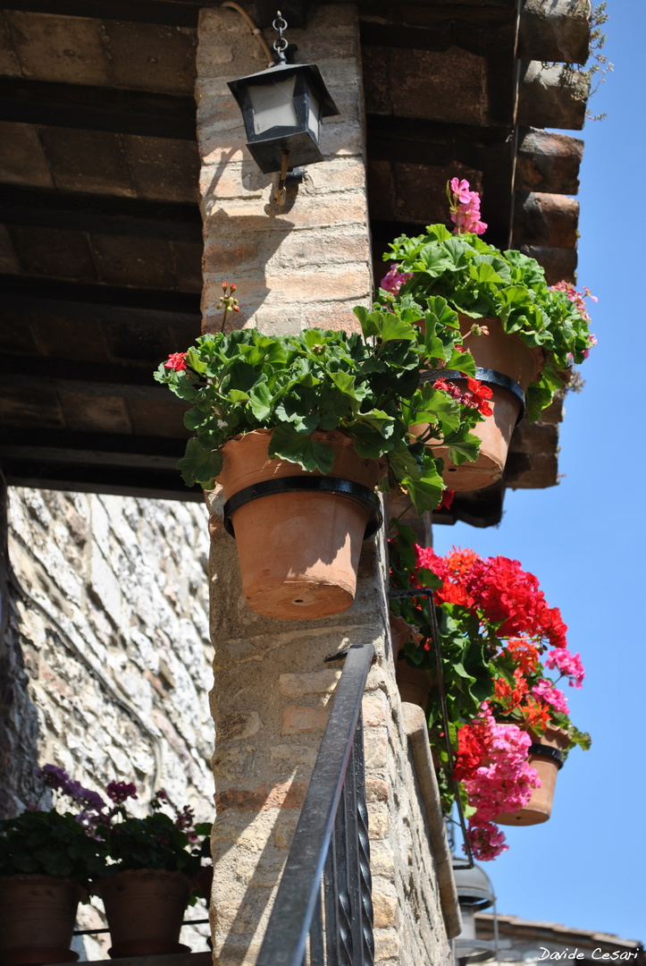 Scorcio di Assisi