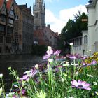 scorcio di bruges