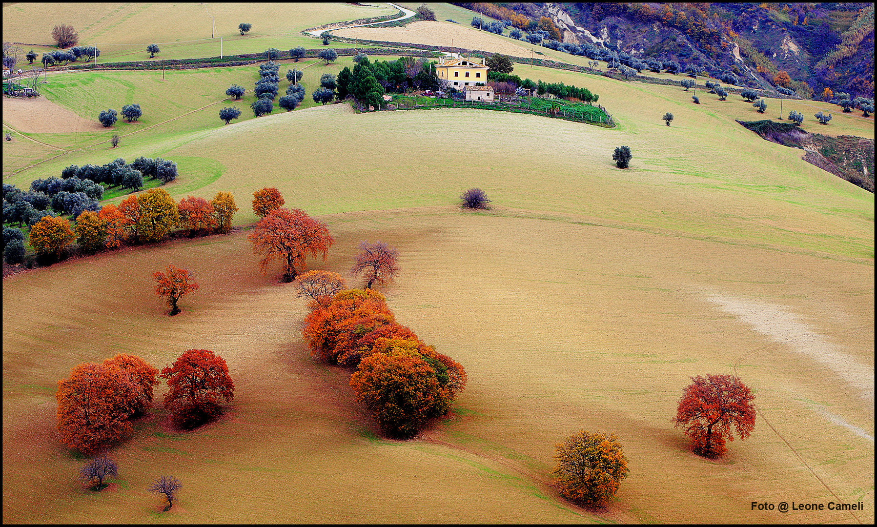 Scorcio di campagna