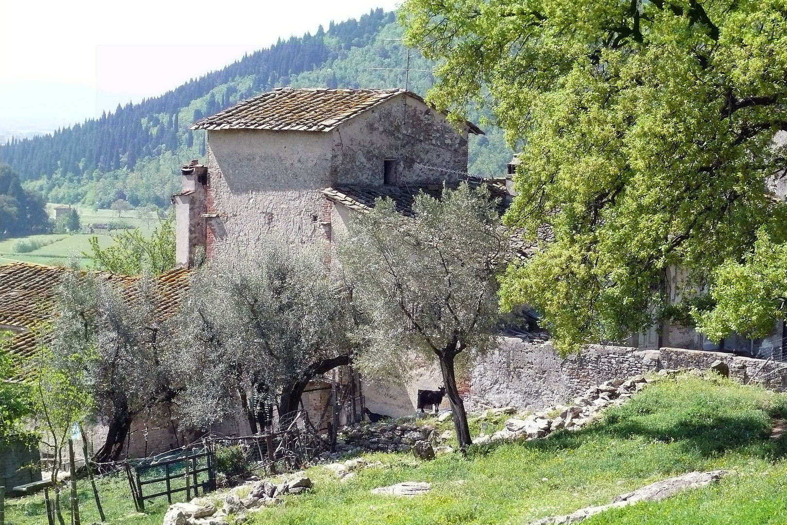 Scorcio Di Campagna Foto Immagini Paesaggi Natura Foto Su Fotocommunity
