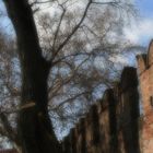 Scorcio di Castelvecchio, Verona