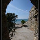 Scorcio di Castiglione della Pescaia