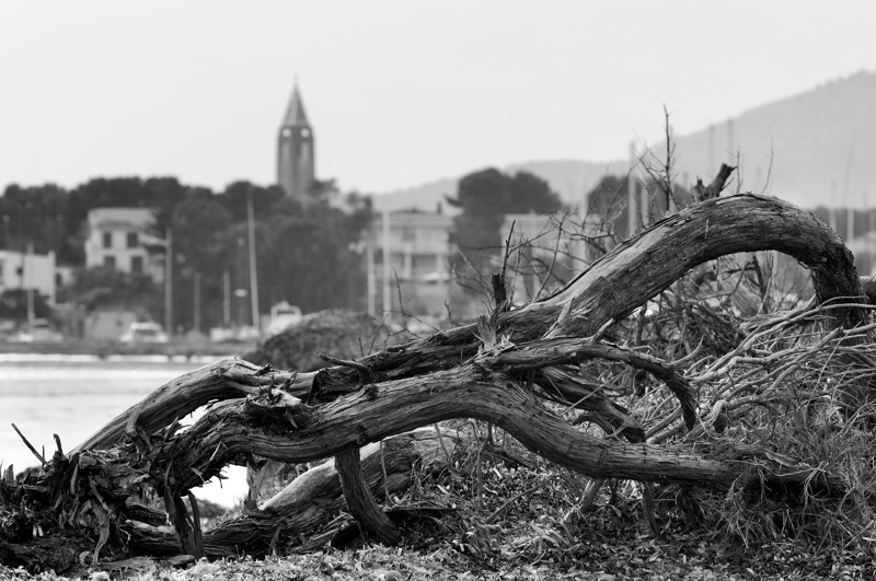 Scorcio di Fertilia dalla spiaggia