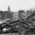 Scorcio di Fertilia dalla spiaggia