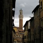 Scorcio di Siena