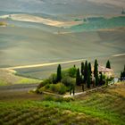 Scorcio in val d'Orcia