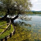 SCORCIO SUL LAGO DI FIBRENO