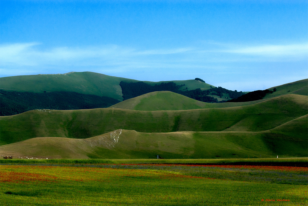 Scorcio sulla piana di Castelluccio al tramonto