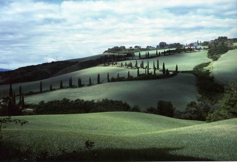 Scorcio Val d'Orcia