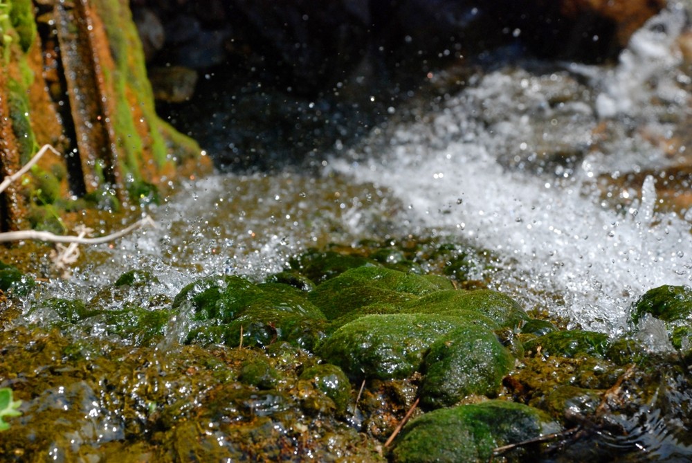 scorri fino ad incontrare il mare