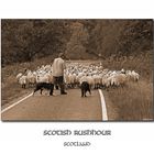 Scotish Rushhour