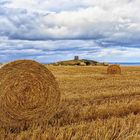 Scotland Fields