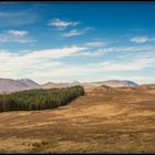 Scotland / Highlands #2