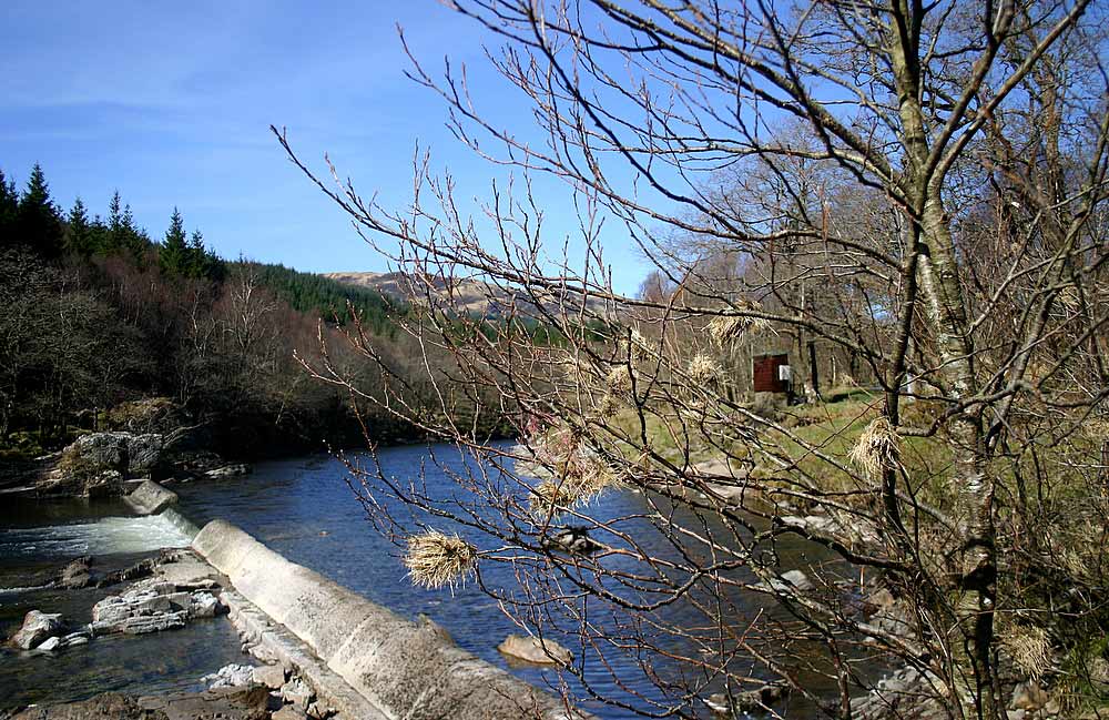 Scotland in the Sun