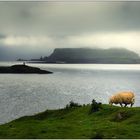 Scotland - Isle of Skye